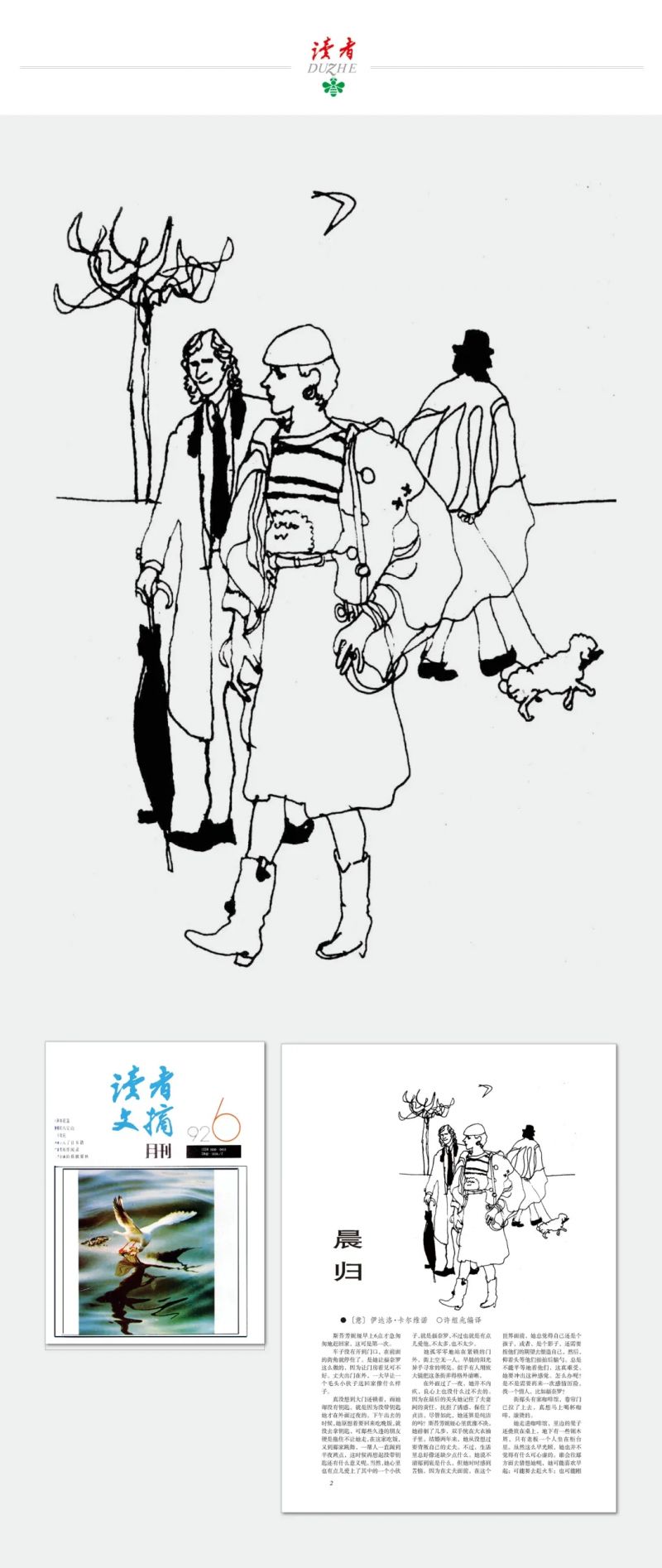 15.webp
