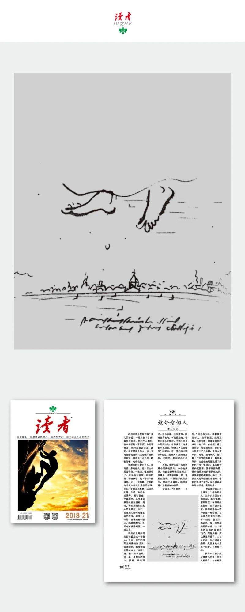 35.webp