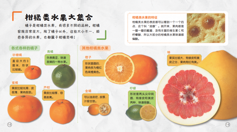 微信图片_20230919155909